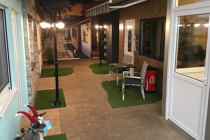 PreMentor szakértő csapata